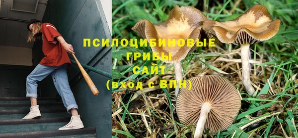 метадон Абдулино
