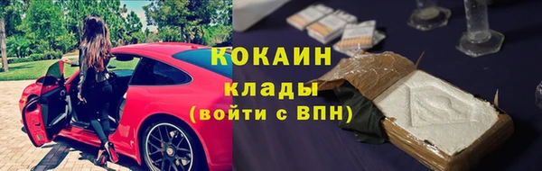 шишки Алзамай