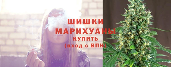 шишки Алзамай