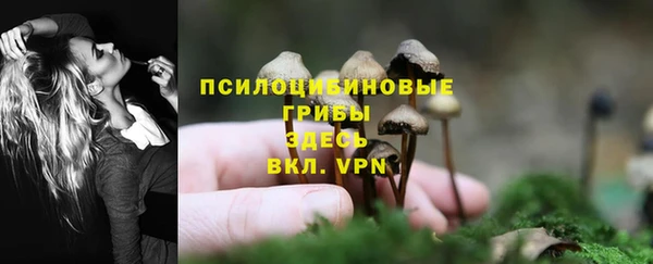 MESCALINE Абаза